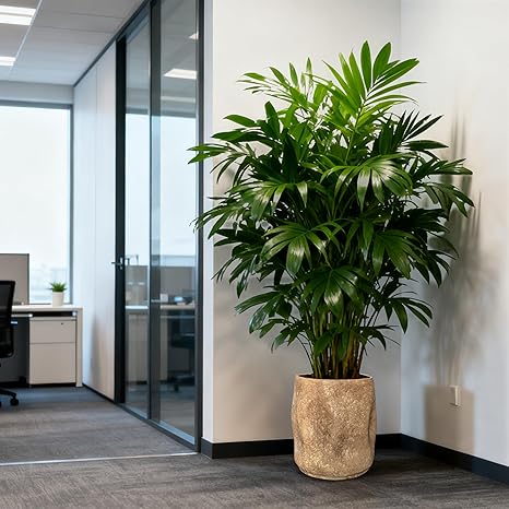 KA-05 Oval Planter